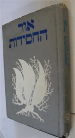 אור החסידות
