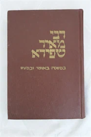 רבי מאיר שפירא