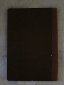 הגאון מטשעבין