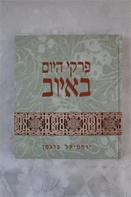 פרקי היום באיוב