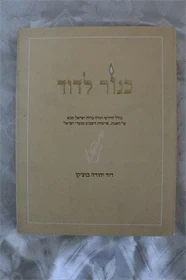 כנור לדוד
