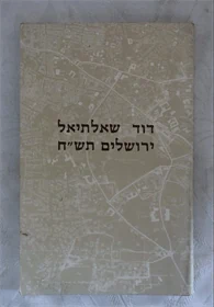 דוד שאלתיאל