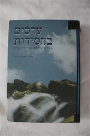 ערכים בחסידות