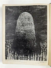 חומש תורה שלמה