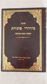 בירורי סוגיות