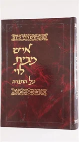 איש מבית לוי