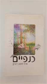 כנפיים