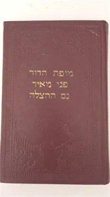 מופת הדור | פני מאיר | נס ההצלה