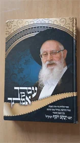 עבדך בן אמתך