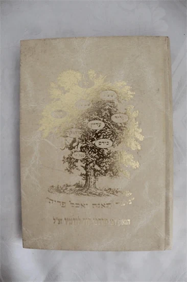 ספר זכרון על משפחת לודמיר