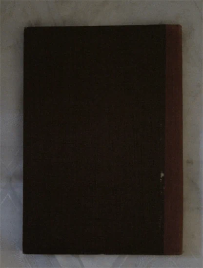 הגאון מטשעבין