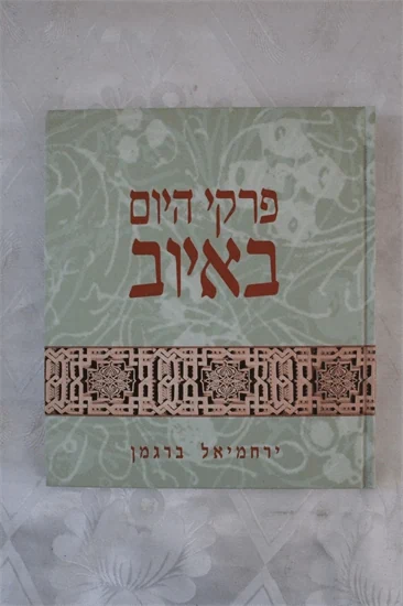 פרקי היום באיוב