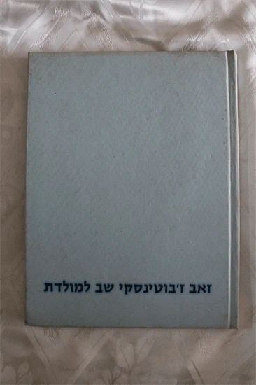 זאב ז'בוטינסקי שב למולדת