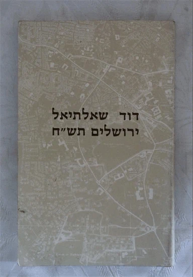 דוד שאלתיאל