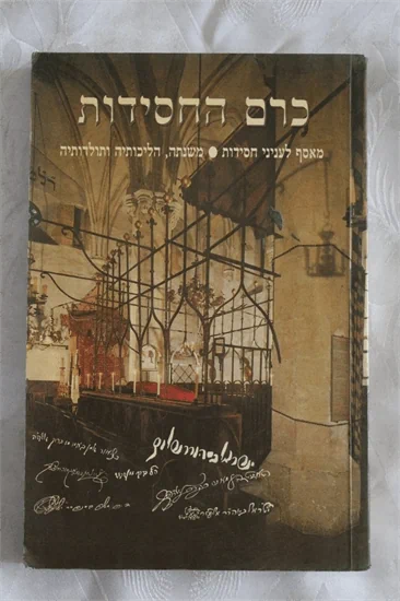 כרם החסידות