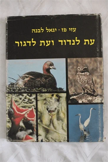 עת לנדוד ועת לדגור