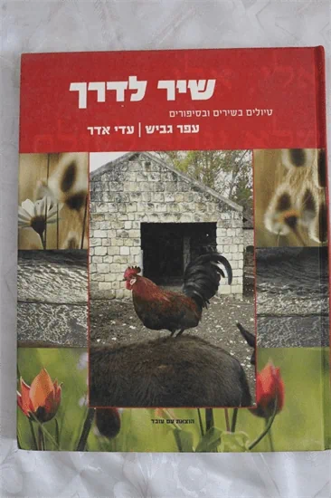 שיר לדרך