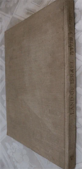 דיוקנה של מולדת