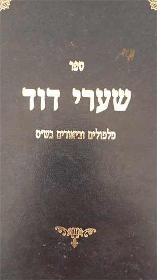 שערי דוד