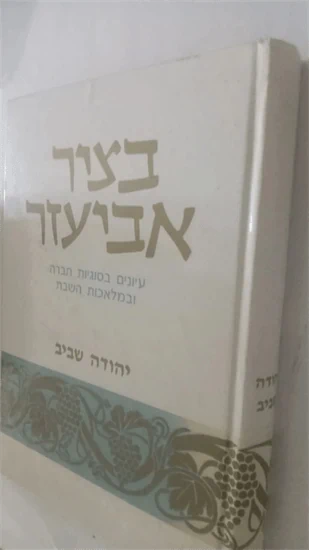 בציר אביעזר