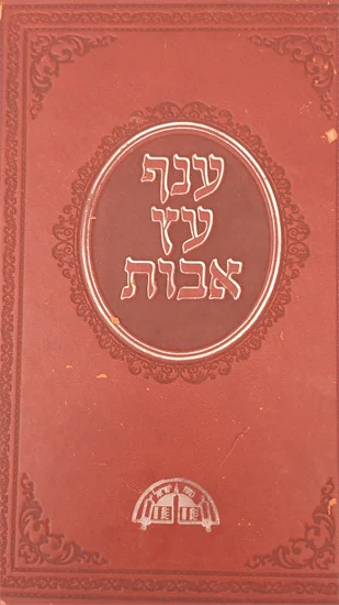 ענף עץ אבות