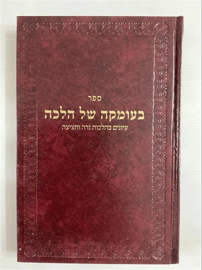 בעומקה של הלכה