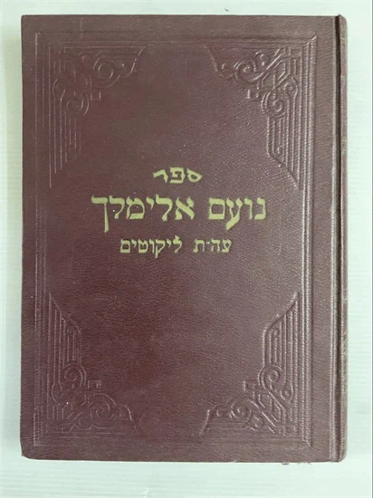 נועם אלימלך