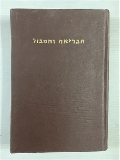 הבריאה והמבול