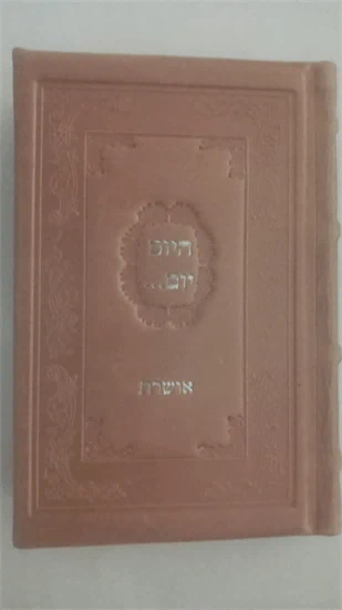היום יום
