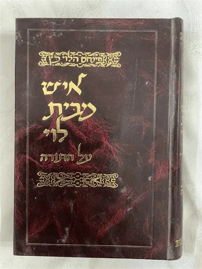 איש מבית לוי