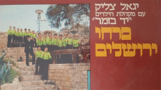 תקליט לפטיפון - פרחי ירושלים