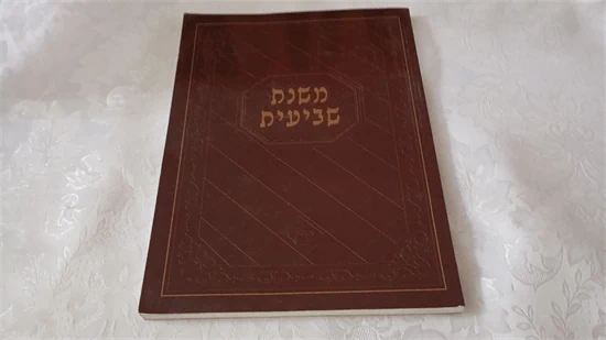 משנה שביעית