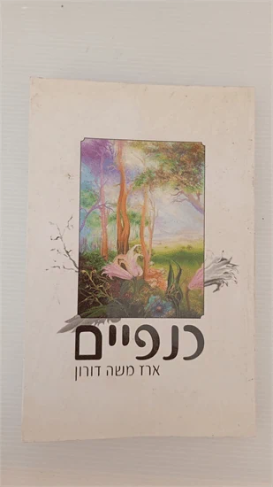 כנפיים