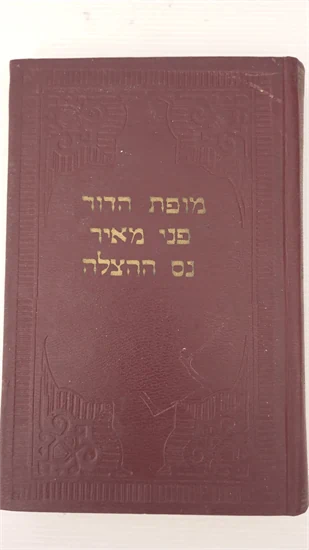 מופת הדור | פני מאיר | נס ההצלה