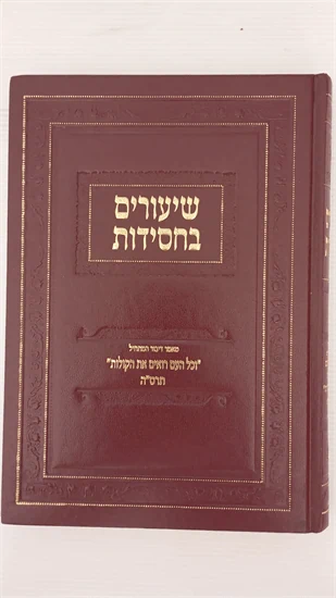 שיעורים בחסידות