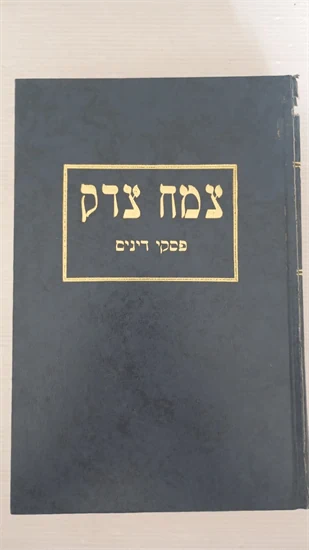 צמח צדק | פסקי דינים