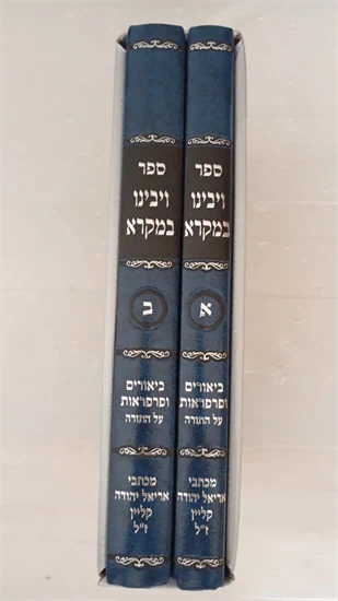 ויבינו במקרא