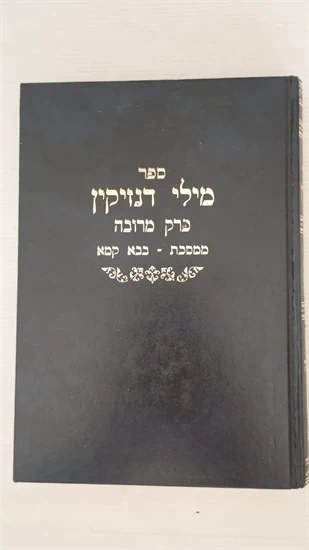 מילי דנזיקין