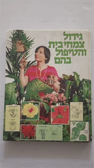 גידול צמחי בית והטיפול בהם
